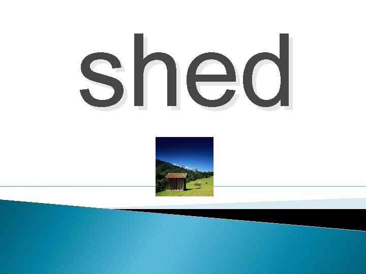 shed 