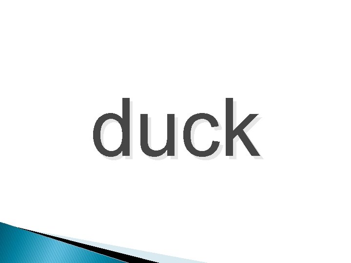 duck 