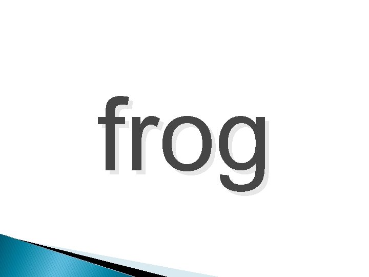 frog 