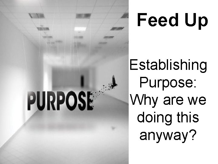 Feed Up Establishing Purpose: Why are we doing this anyway? 