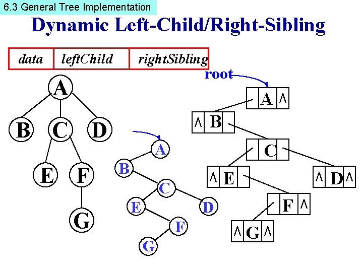 6. 3 General Tree Implementation Dynamic Left-Child/Right-Sibling data left. Child right. Sibling root A