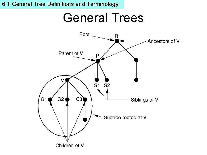 6. 1 General Tree Definitions and Terminology General Trees 