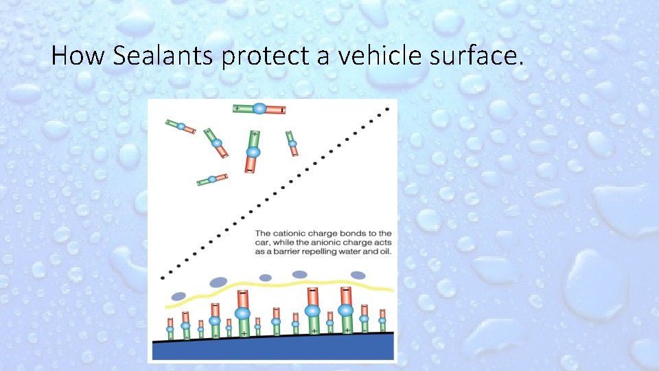 How Sealants protect a vehicle surface. 