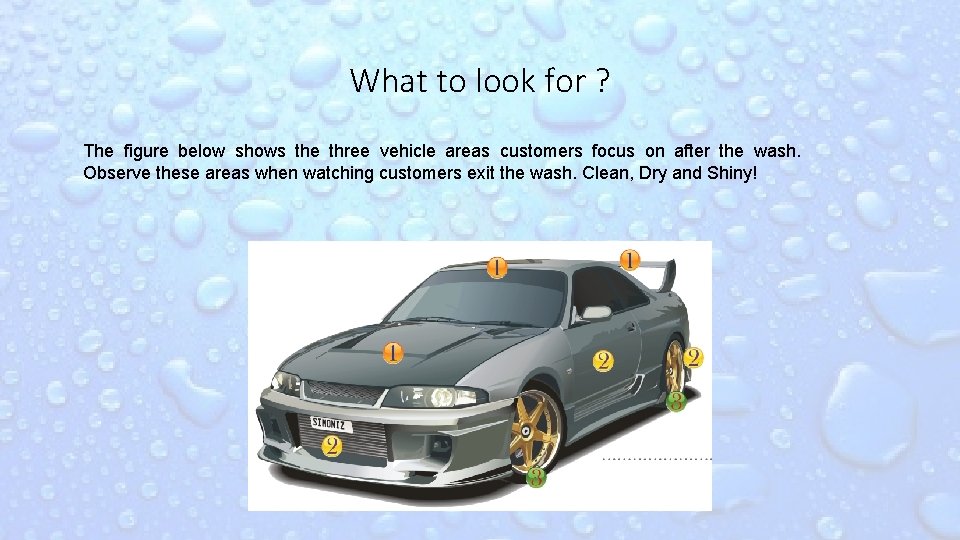 What to look for ? The figure below shows the three vehicle areas customers