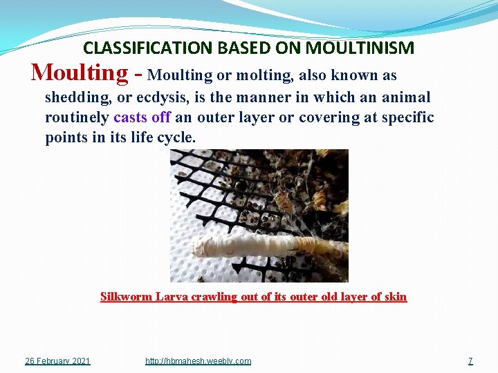 CLASSIFICATION BASED ON MOULTINISM Moulting - Moulting or molting, also known as shedding, or