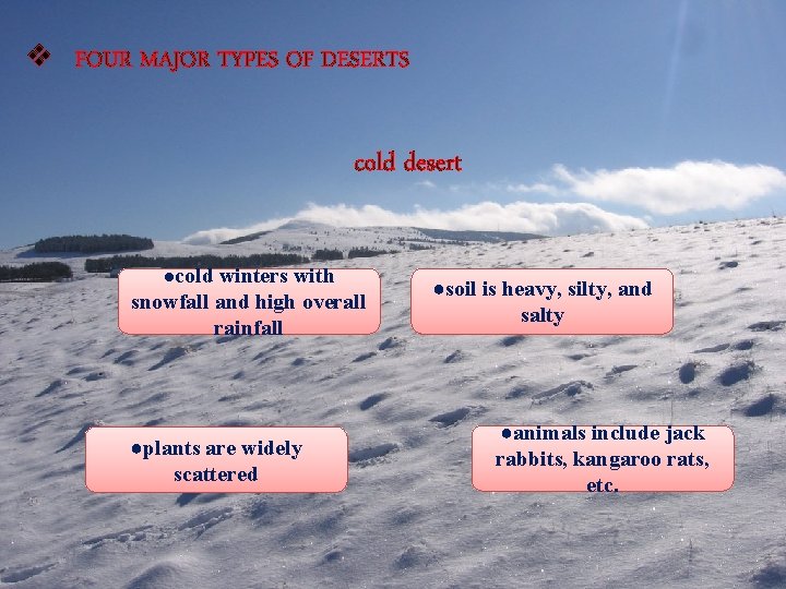 v FOUR MAJOR TYPES OF DESERTS cold desert ●cold winters with snowfall and high