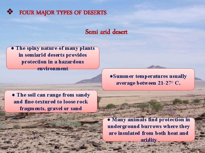 v FOUR MAJOR TYPES OF DESERTS Semi arid desert ● The spiny nature of