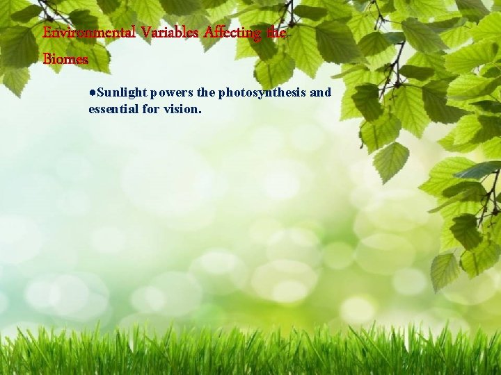 Environmental Variables Affecting the Biomes ●Sunlight powers the photosynthesis and essential for vision. 