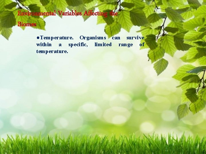 Environmental Variables Affecting the Biomes ●Temperature. Organisms can survive within a specific, limited range