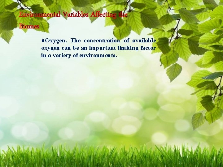 Environmental Variables Affecting the Biomes ●Oxygen. The concentration of available oxygen can be an