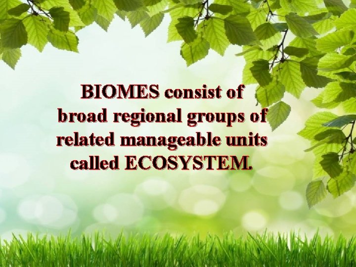 BIOMES consist of broad regional groups of related manageable units called ECOSYSTEM. 