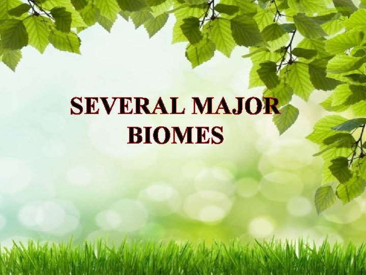 SEVERAL MAJOR BIOMES 