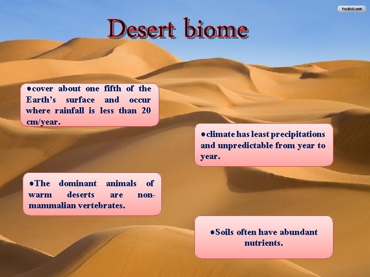 Desert biome ●cover about one fifth of the Earth’s surface and occur where rainfall