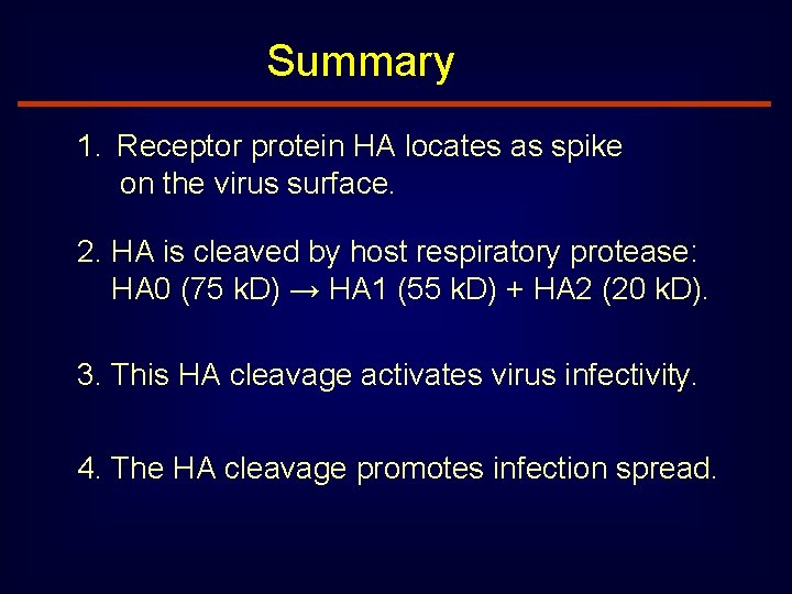 Summary 1. Receptor protein HA locates as spike on the virus surface. 2. HA