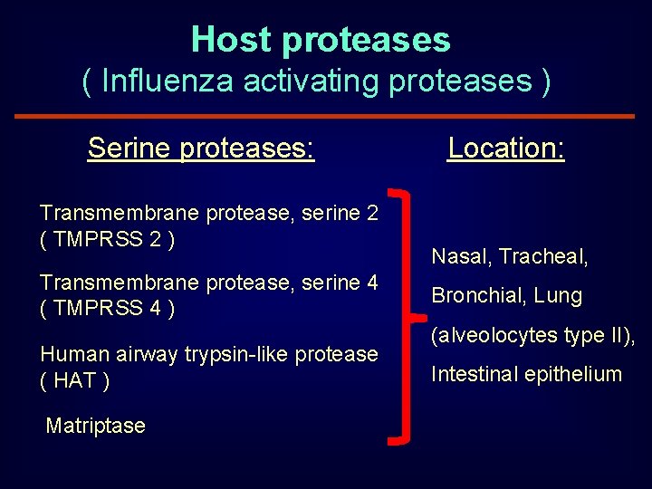 Host proteases ( Influenza activating proteases ) Serine proteases: Transmembrane protease, serine 2 (