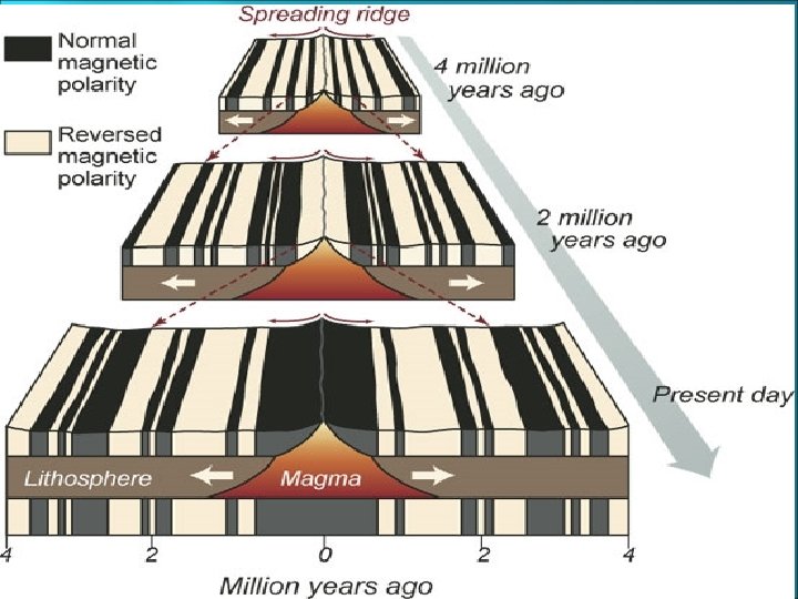  Sea-floor spreading creates new oceanic crust at mid-ocean ridges Subduction destroys old oceanic