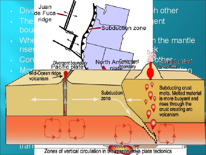  • • Divergent plates move away from each other The mid-ocean ridge is