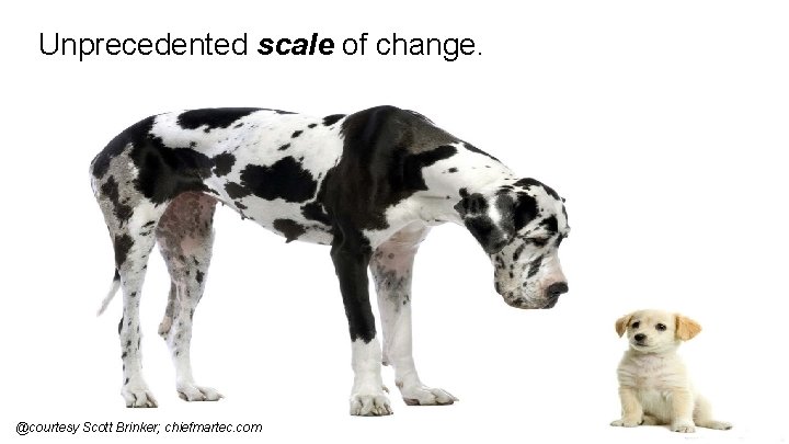 Unprecedented scale of change. @courtesy Scott Brinker; chiefmartec. com 13 