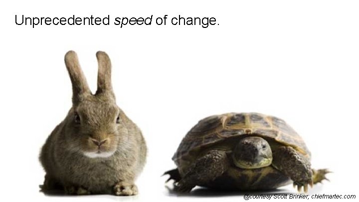 Unprecedented speed of change. 14 @courtesy Scott Brinker; chiefmartec. com 