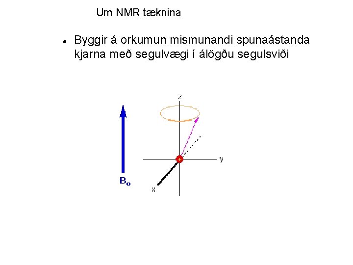 Um NMR tæknina Byggir á orkumun mismunandi spunaástanda kjarna með segulvægi í álögðu segulsviði