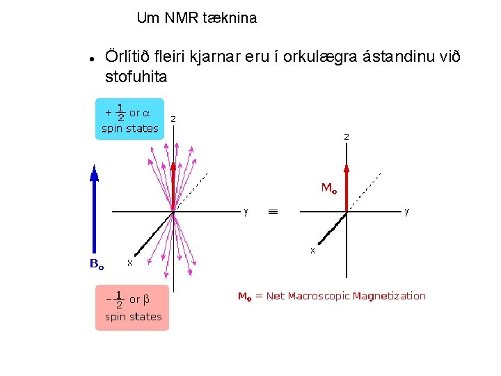 Um NMR tæknina Örlítið fleiri kjarnar eru í orkulægra ástandinu við stofuhita 