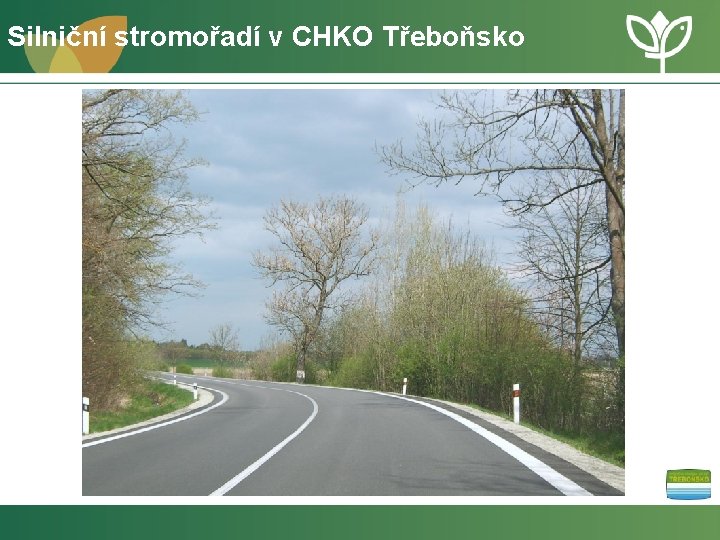 Silniční stromořadí v CHKO Třeboňsko 