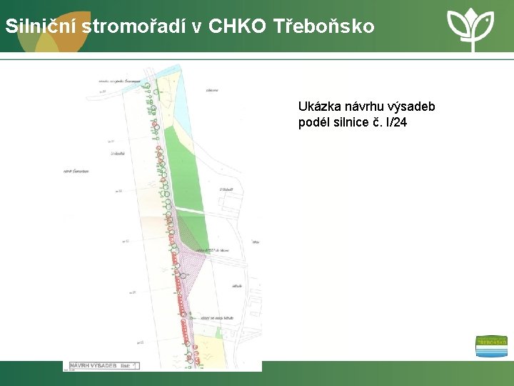 Silniční stromořadí v CHKO Třeboňsko Ukázka návrhu výsadeb podél silnice č. I/24 
