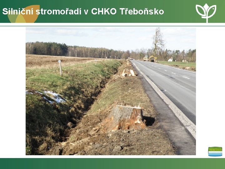 Silniční stromořadí v CHKO Třeboňsko 