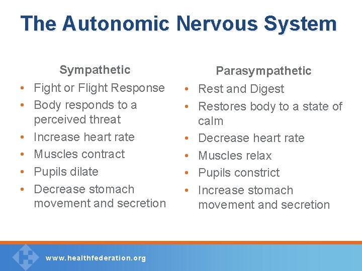 The Autonomic Nervous System Sympathetic Parasympathetic • Fight or Flight Response • Body responds