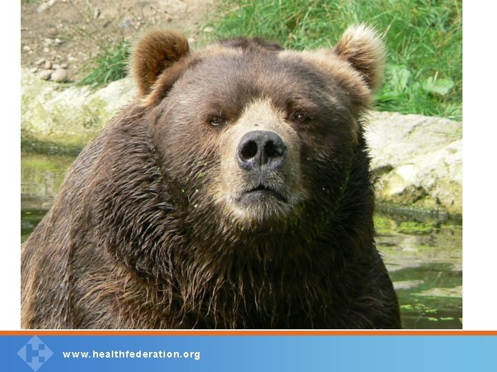 w w w. healthfederation. org 