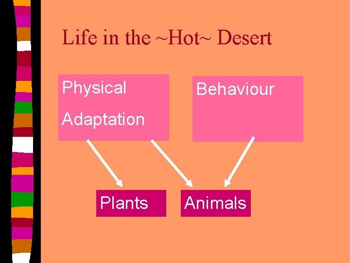 Life in the ~Hot~ Desert Physical Behaviour Adaptation Plants Animals 