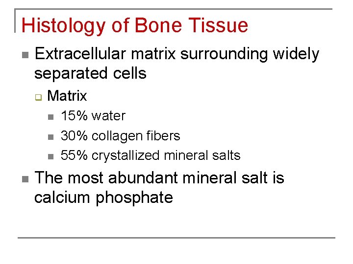 Histology of Bone Tissue n Extracellular matrix surrounding widely separated cells q Matrix n