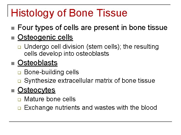 Histology of Bone Tissue n n Four types of cells are present in bone