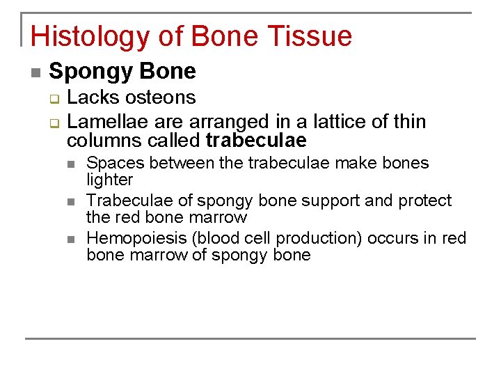 Histology of Bone Tissue n Spongy Bone q q Lacks osteons Lamellae arranged in