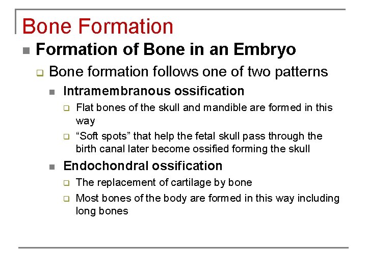 Bone Formation n Formation of Bone in an Embryo q Bone formation follows one