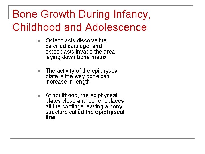 Bone Growth During Infancy, Childhood and Adolescence n Osteoclasts dissolve the calcified cartilage, and