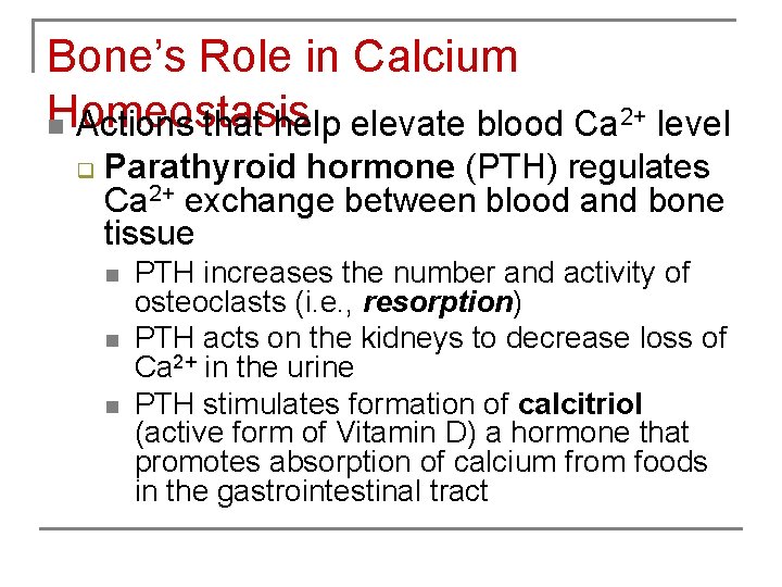 Bone’s Role in Calcium Homeostasis n Actions that help elevate blood Ca 2+ level