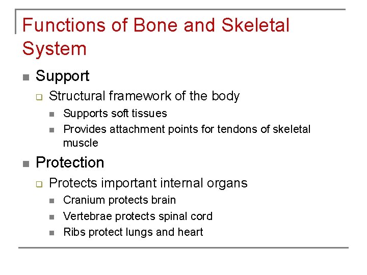 Functions of Bone and Skeletal System n Support q Structural framework of the body