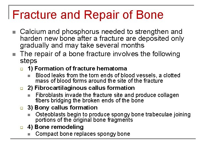 Fracture and Repair of Bone n n Calcium and phosphorus needed to strengthen and