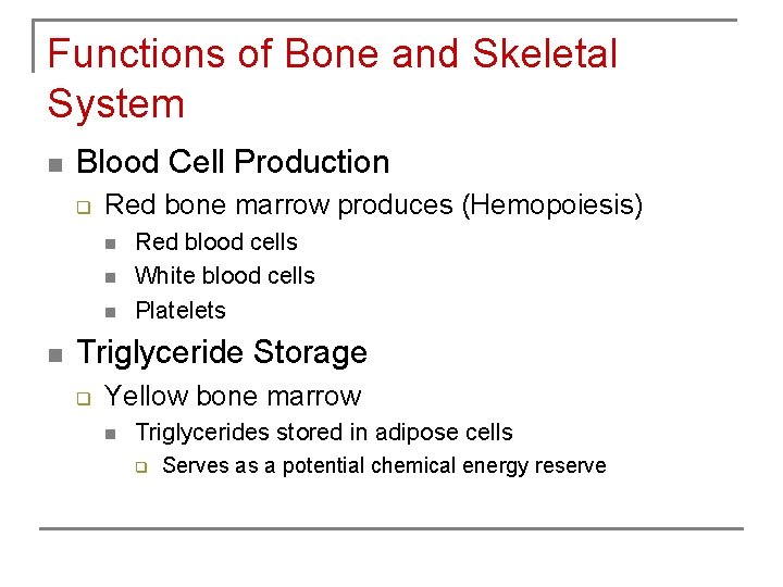 Functions of Bone and Skeletal System n Blood Cell Production q Red bone marrow