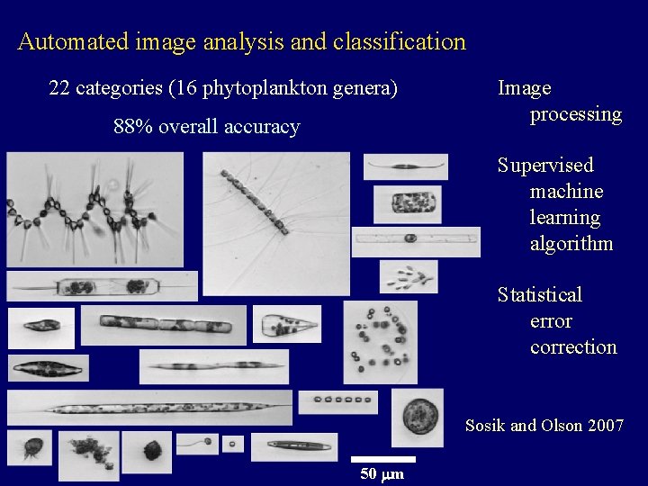 Automated image analysis and classification 22 categories (16 phytoplankton genera) 88% overall accuracy Image