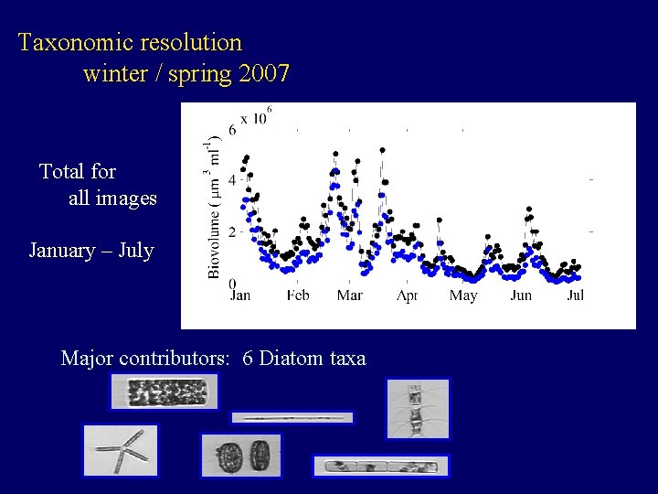 Taxonomic resolution winter / spring 2007 Total for all images January – July Major