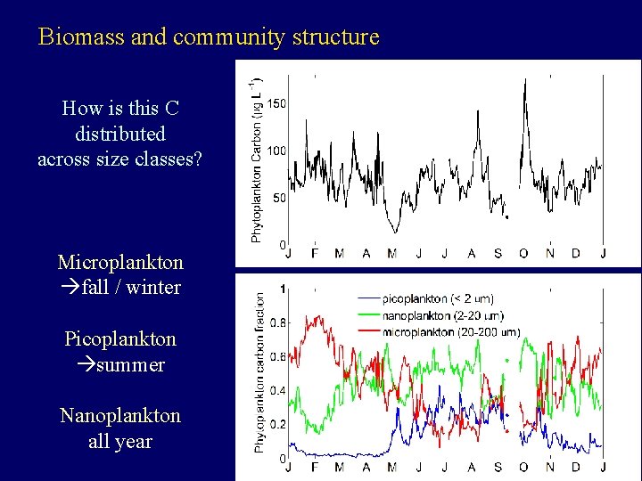Biomass and community structure How is this C distributed across size classes? Microplankton fall