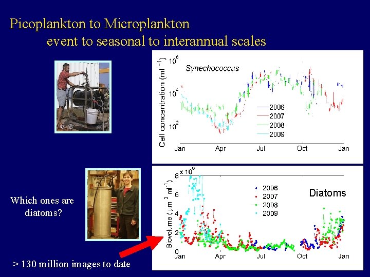 Picoplankton to Microplankton event to seasonal to interannual scales Which ones are diatoms? >