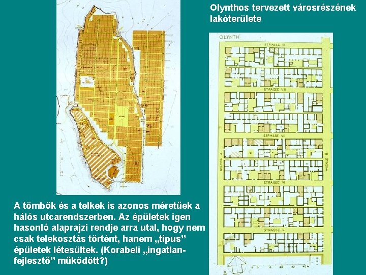 Olynthos tervezett városrészének lakóterülete A tömbök és a telkek is azonos méretűek a hálós