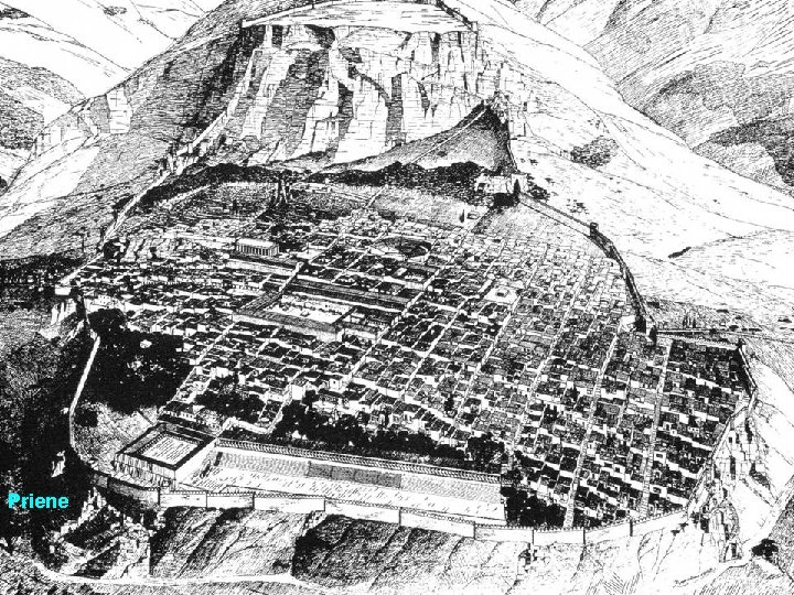 Priene 