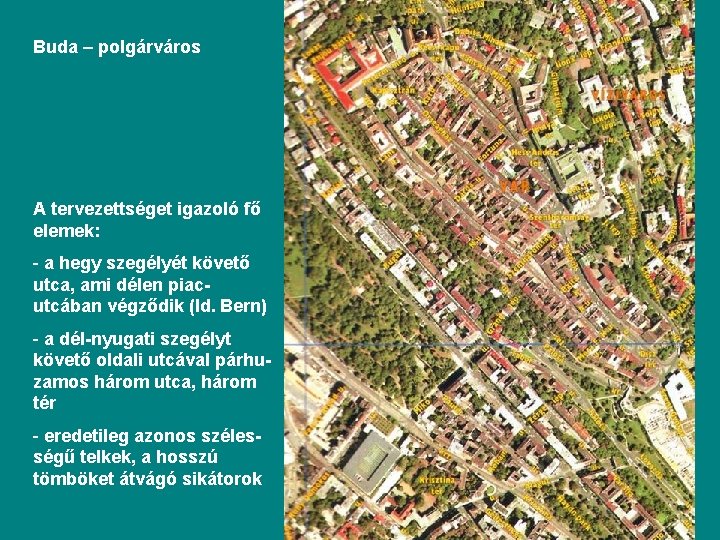 Buda – polgárváros A tervezettséget igazoló fő elemek: - a hegy szegélyét követő utca,