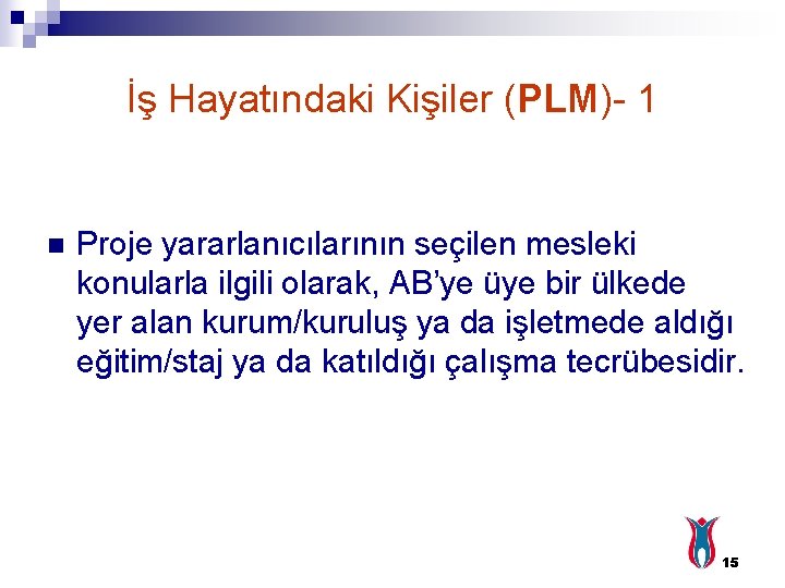 İş Hayatındaki Kişiler (PLM)- 1 n Proje yararlanıcılarının seçilen mesleki konularla ilgili olarak, AB’ye