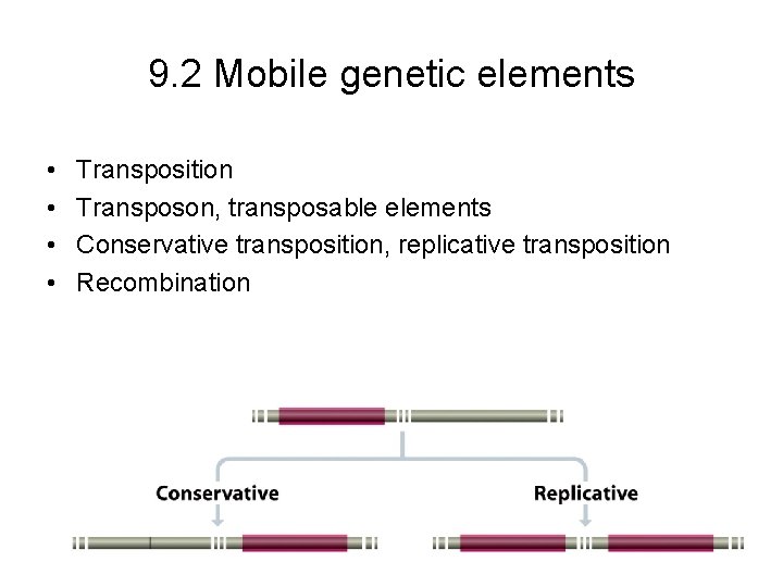 9. 2 Mobile genetic elements • • Transposition Transposon, transposable elements Conservative transposition, replicative