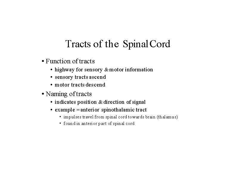 Tracts of the Spinal Cord • Function of tracts • highway for sensory &